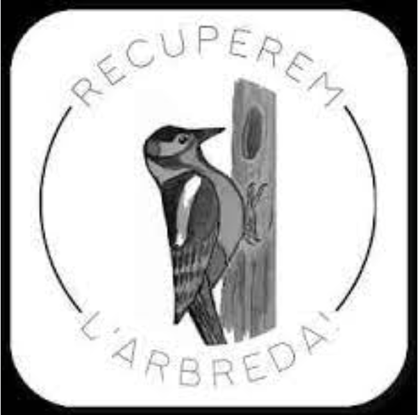 ARBREDA