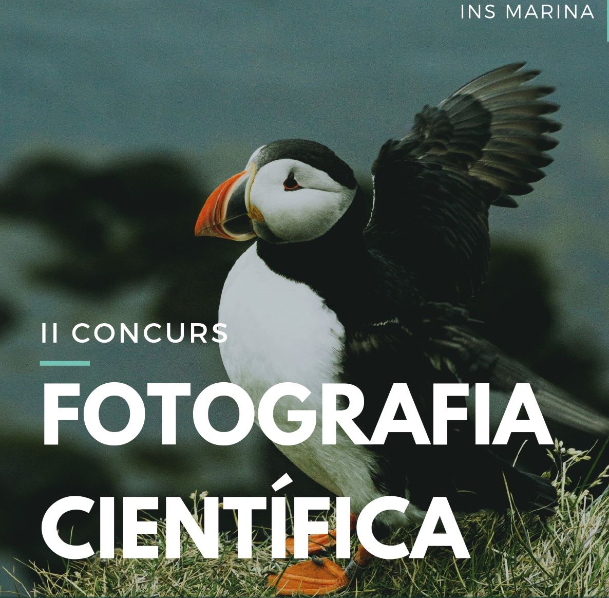 FOTO2 CONCURS DE FOTOGRAFÍA CIENTÍFICA JPG page 0001