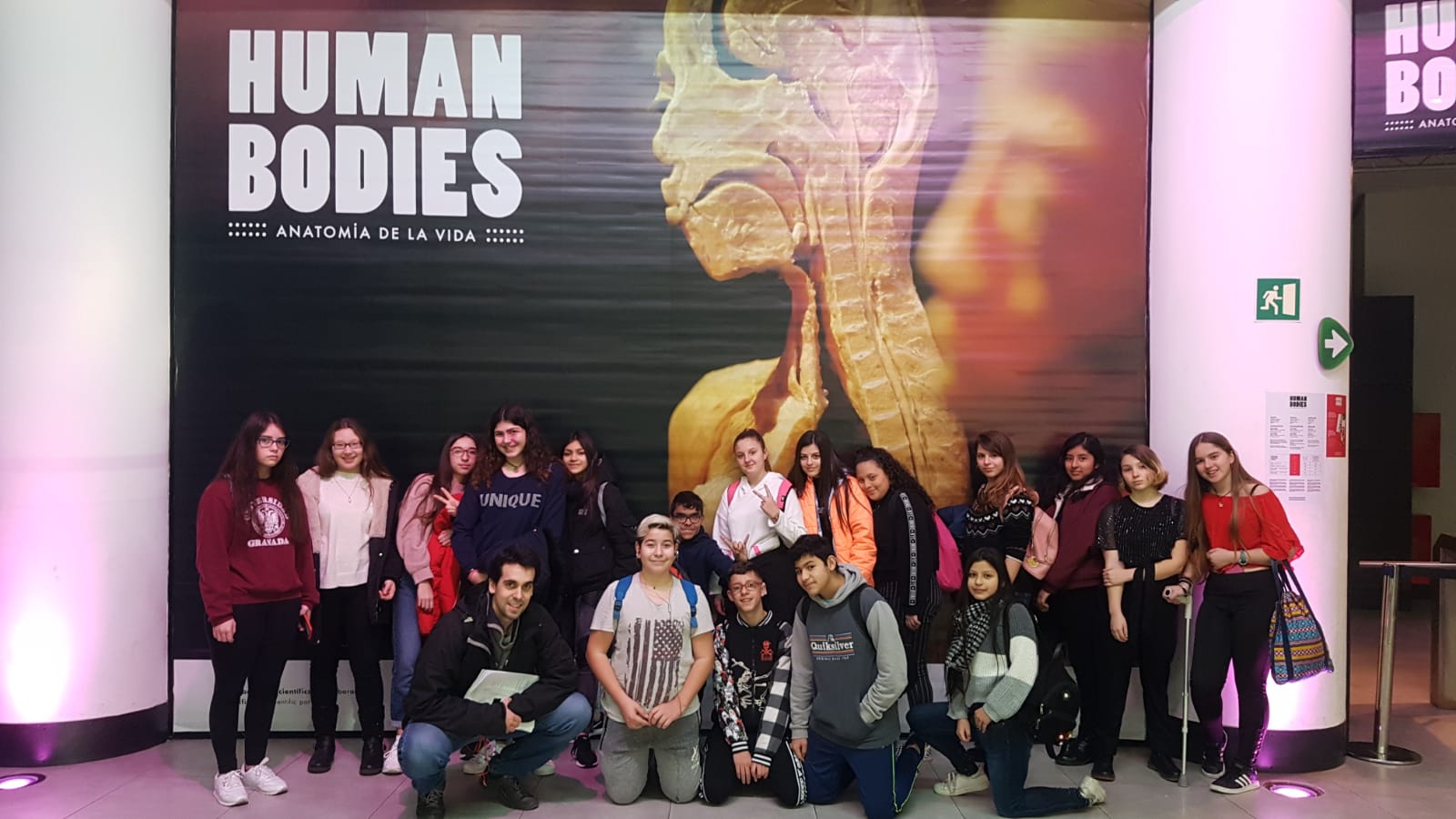 Human Bodies 3