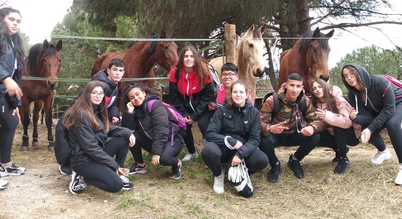 caballo 20200303 134647 1