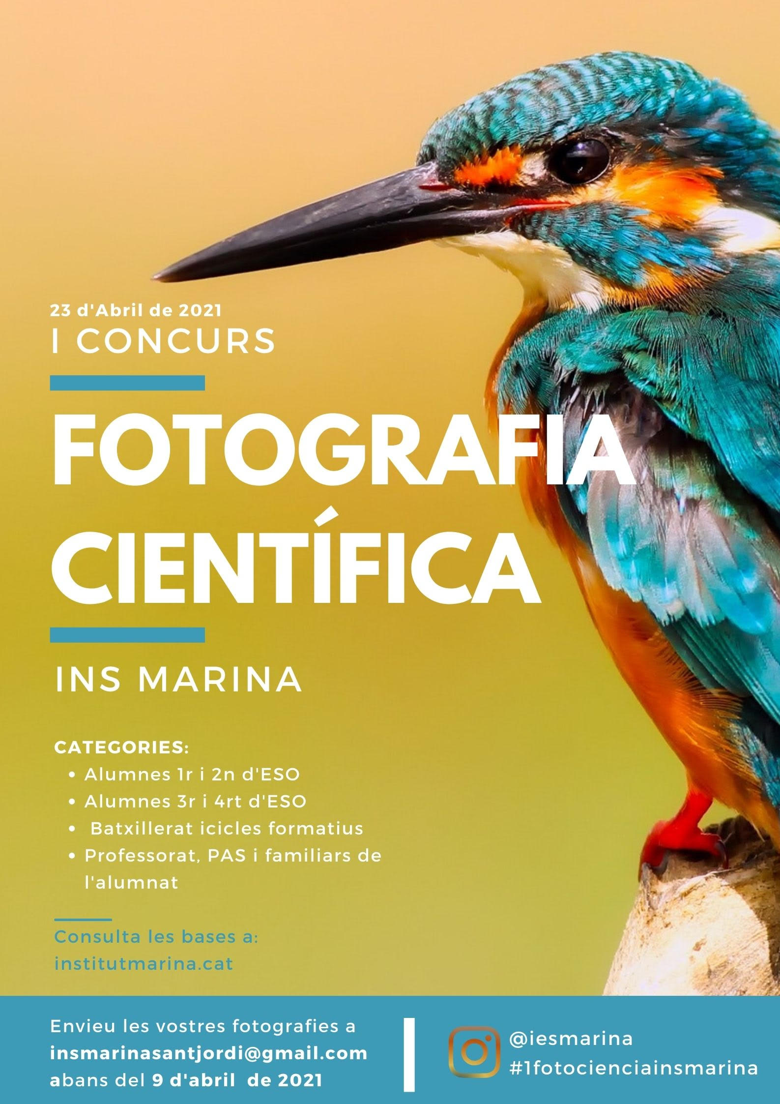 cartell kingfisher