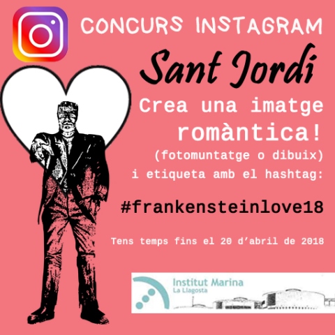 concurs Instagram