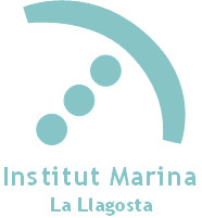 Logo WEB